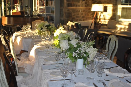 leslie's party photos good light 7